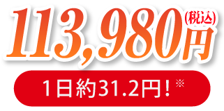 113,980円(税込)